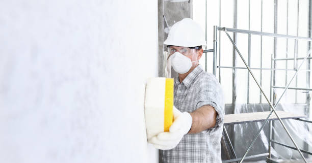 Best Environmental Consulting for Mold Prevention in Nixa, MO