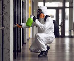 Why You Should Choose Our Mold Remediation Services in Nixa, MO